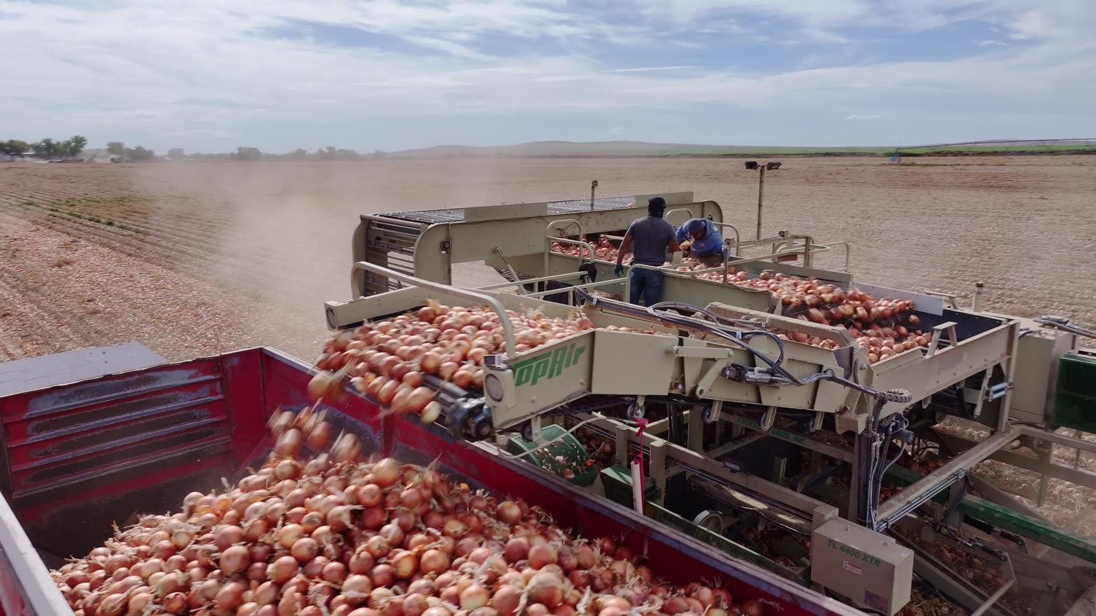 Owyhee Produce harvest crew loading melons